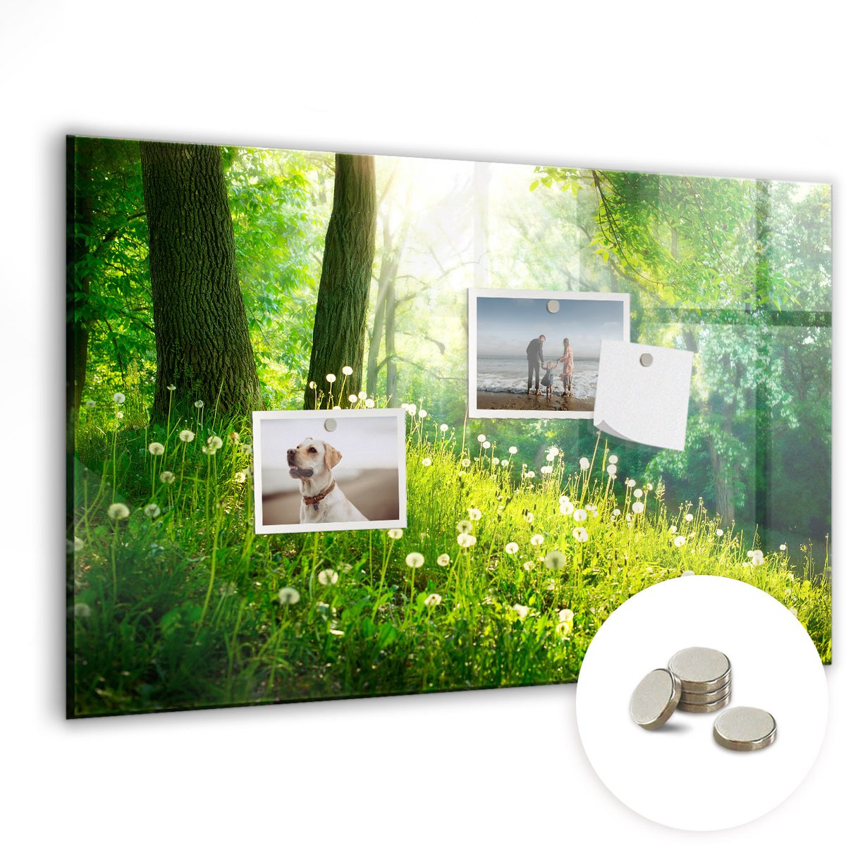 Coloray Glazen Magneetbord - Magnetisch Bord Lente natuur - 60x40 cm - Groente Magneetbord - Magnetic Board - Woonkamer Decoratie