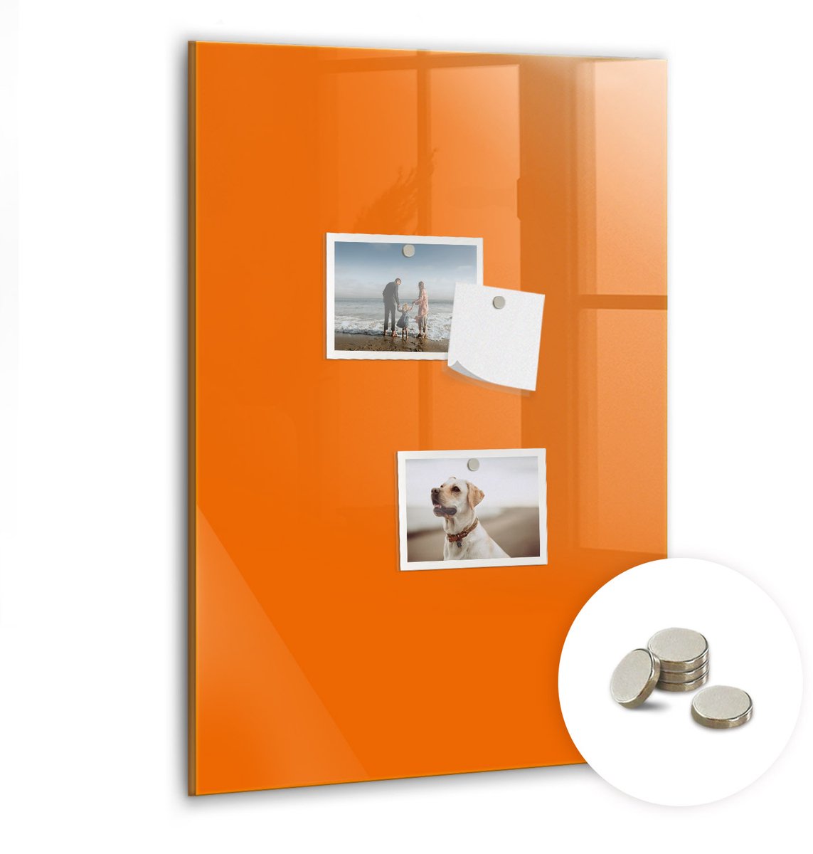 Coloray Glazen Magneetbord - Magnetisch Bord Boomstronken - 40x60 cm - Oranje Magneetbord - Magnetic Board - Woonkamer Decoratie