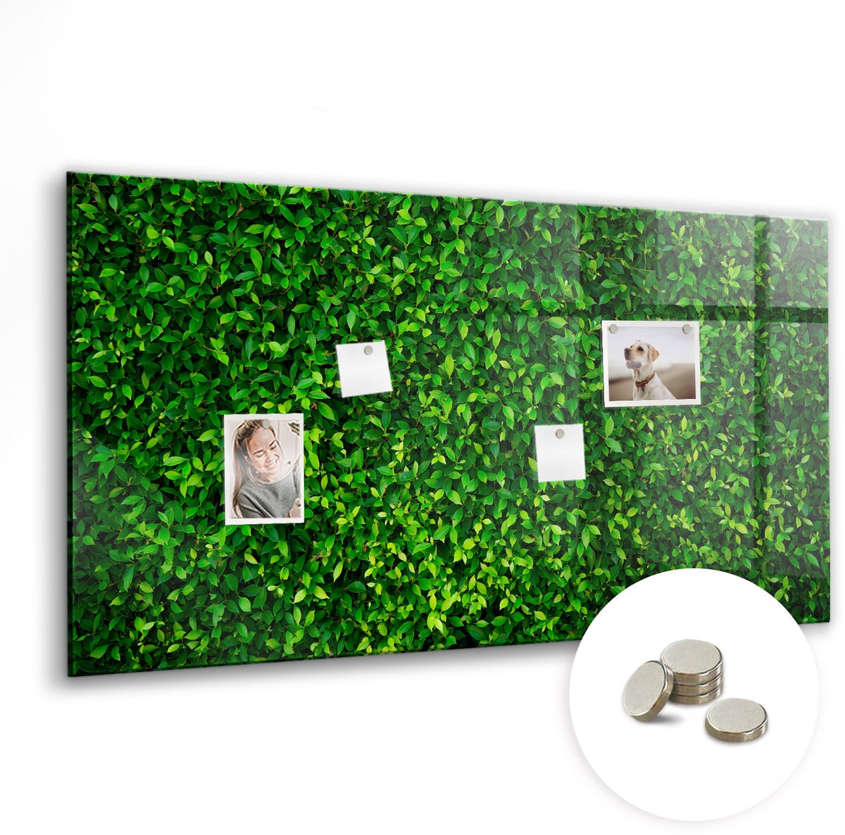 Coloray Glazen Magneetbord - Magnetisch Bord Een fles wijn - 120x60 cm - Groente Magneetbord - Magnetic Board - Keuken Decoratie