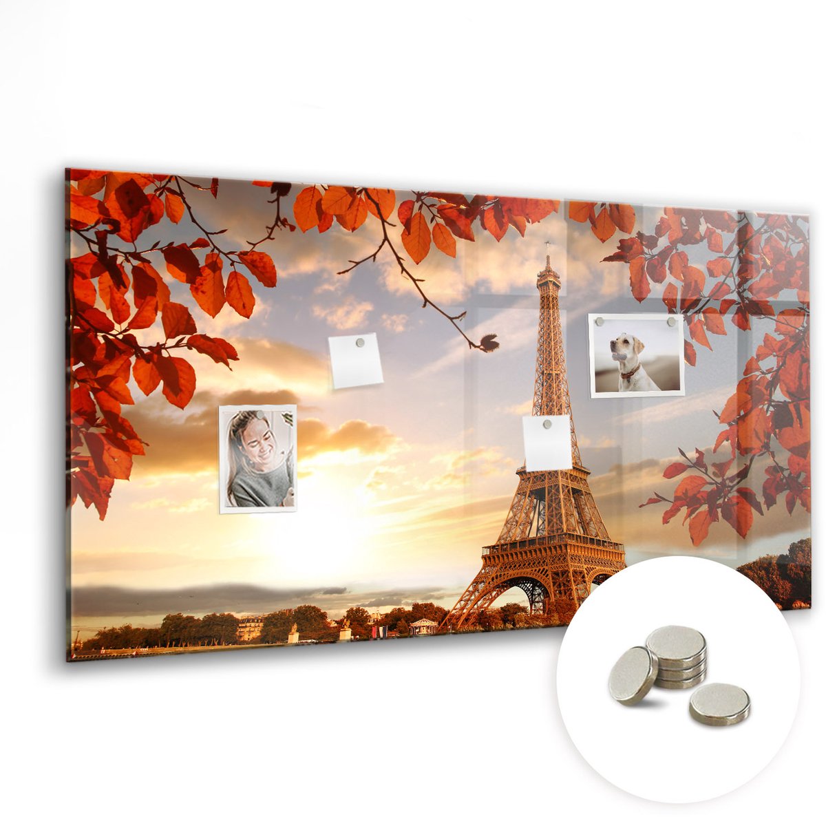 Coloray Glazen Magneetbord - Magnetisch Bord Motiverende tekst - 120x60 cm - Veelkleurig Magneetbord - Magnetic Board - Wanddecoratie