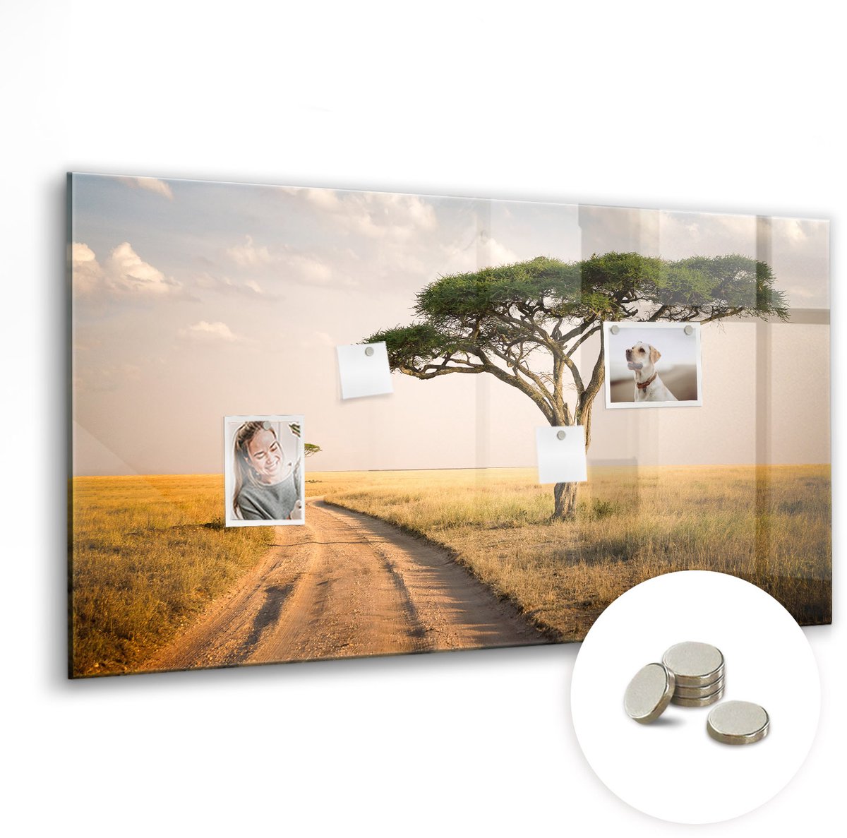 Coloray Glazen Magneetbord - Magnetisch Bord Polaroidfoto's - 120x60 cm - Veelkleurig Magneetbord - Magnetic Board - Magnetisch Wandbord