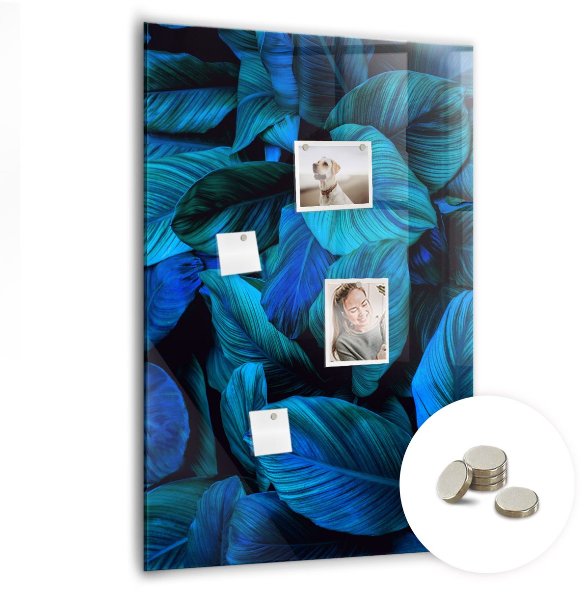 Coloray Glazen Magneetbord - Magnetisch Bord Donkere bloemen - 70x100 cm - Blauw Magneetbord - Magnetic Board - Woonkamer Decoratie