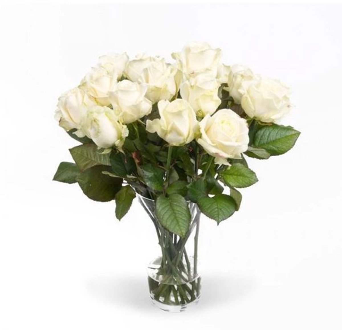 Verse witte rozen - EXCLUSIEF - Lengte ± 70 centimeter - Per 10 stuks