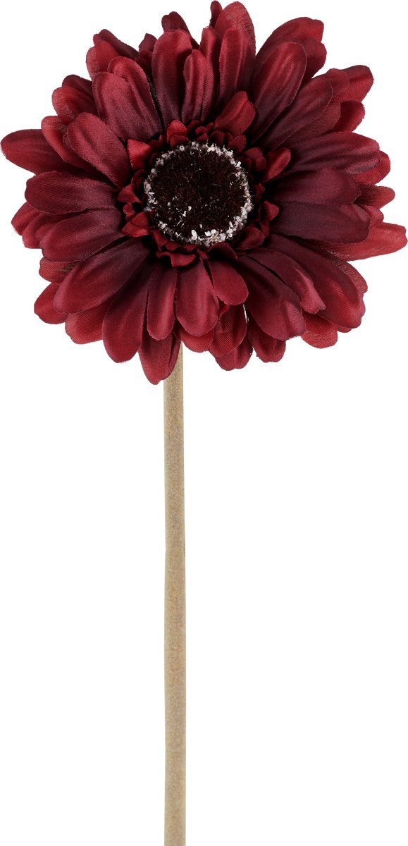 Easyplants | Kunstbloem Gerbera 53 cm bordeaux | Zijde | Nepbloemen | bordeaux | Onderhoudsvrij | Kant-en-klaar