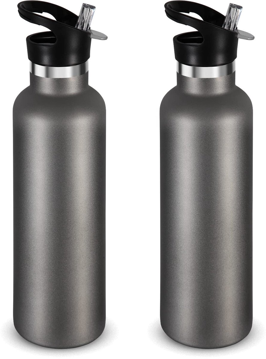 Famanu – Geïsoleerde waterflessen set van 2 stuks, roestvrij staal, dubbele wand, sportflessen met rietdeksel, 750 ml, herbruikbaar