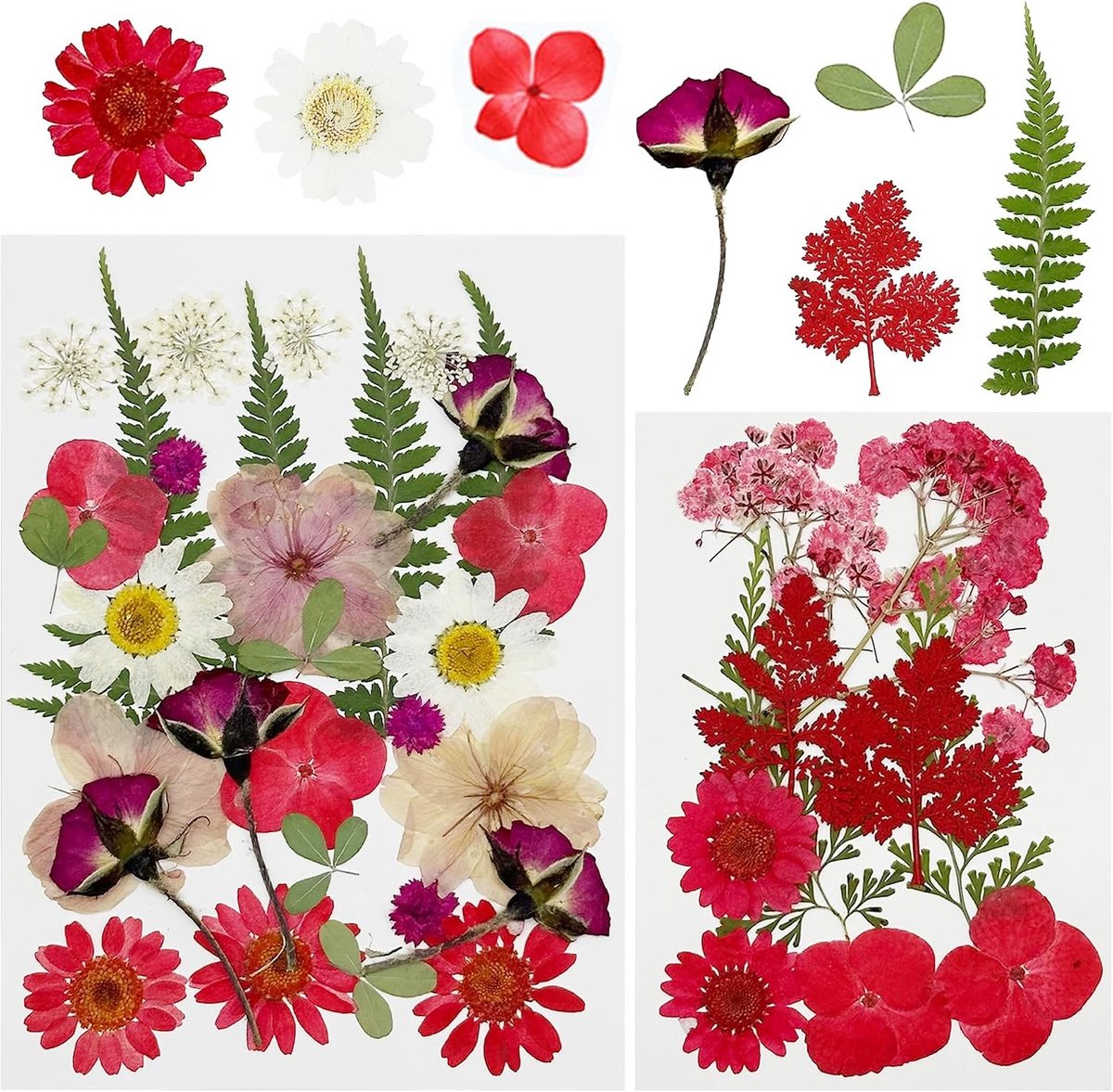 40 Stuks Natuurlijke Geperste Bladeren en Bloemen voor Hars, Scrapbooking en Sieraden maken