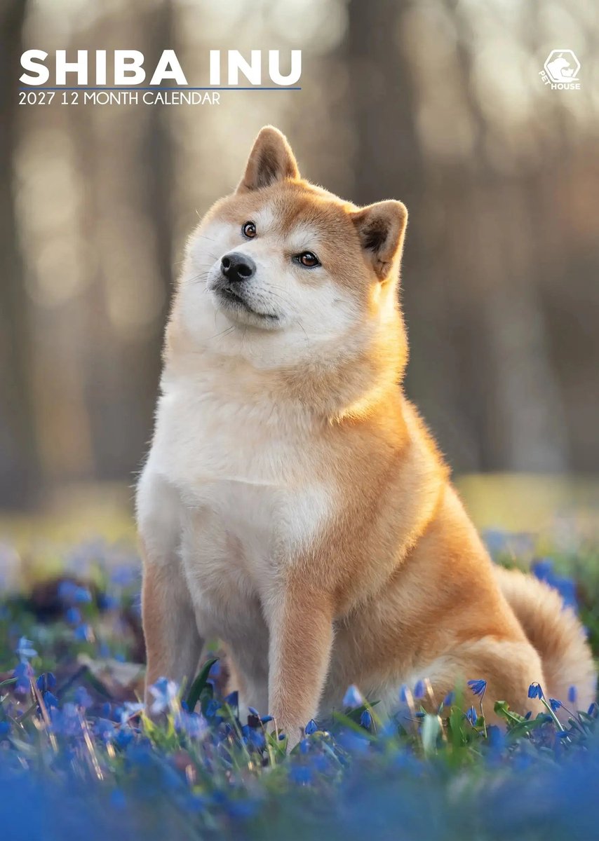 Shiba Inu A3 Kalender 2027