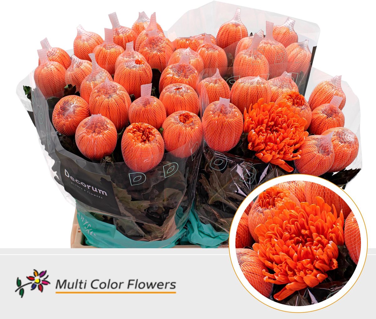 10x Chrysant antonov oranje 60cm