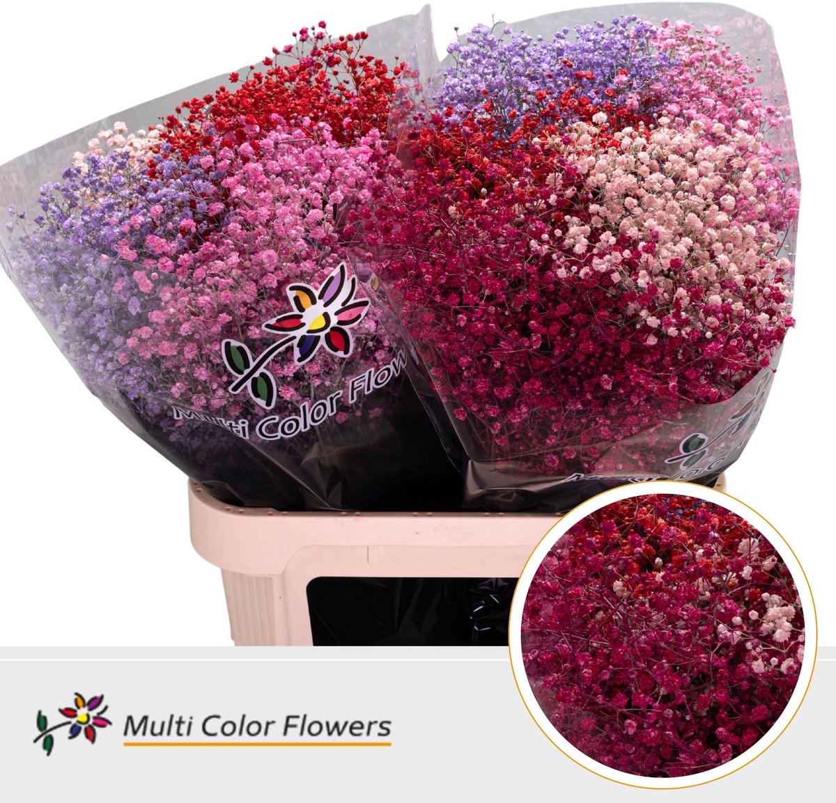 25x Gipskruid xlence love mix 80cm