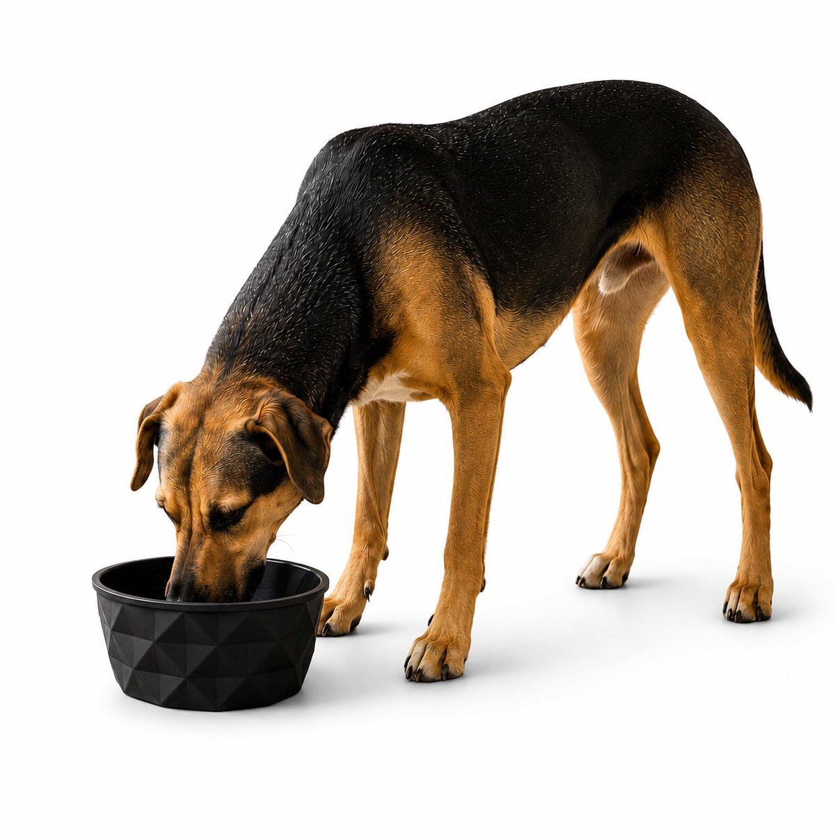 belviona Keramische voerbak hond, antislip & vaatwasserbestendig, 1100 ml mat zwart