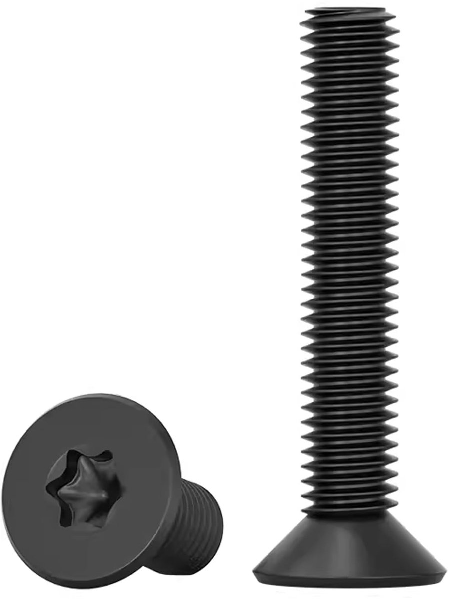 Elzusha - 20 Stuks RVS Torx Schroeven met Verzonken Kop