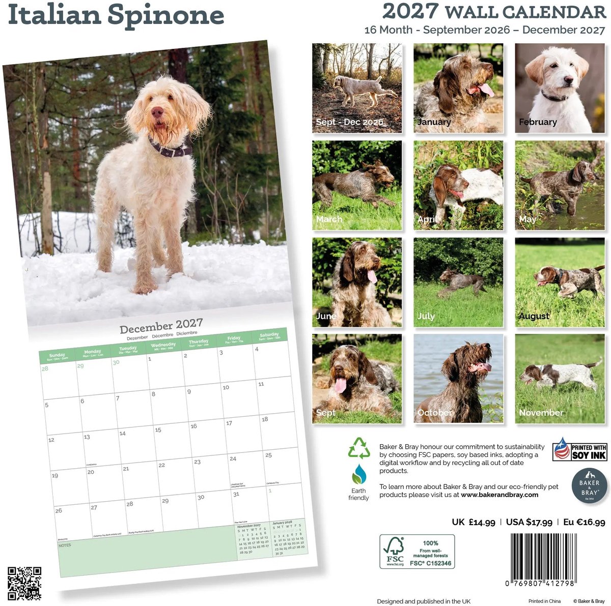 Spinone Italiano Kalender 2027