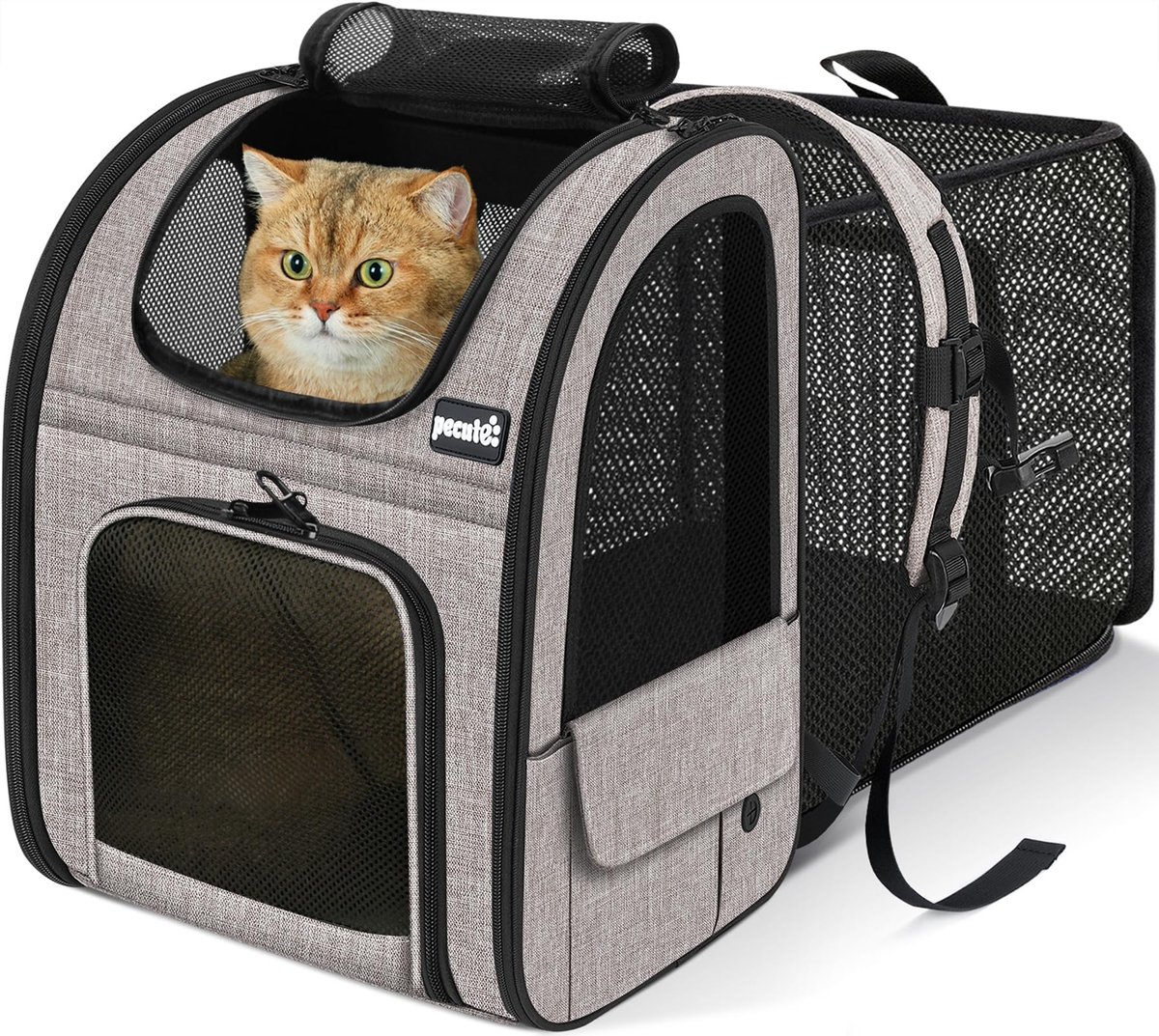 Famanu – Reistas voor katten en honden, uittrekbaar en opvouwbaar, maximale draaglast 8 kg, geschikt voor reizen met trein, auto, restaurant en vliegtuig, grijs met gaasvenster
