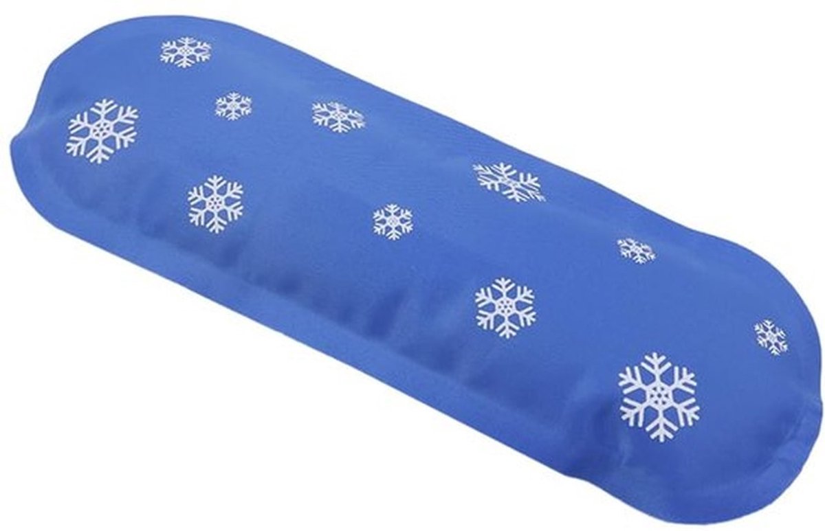 Ice Packs Herbruikbaar - 2 Stuks - Niet-geweven Stof - Insuline Koeler - Duurzaam - Efficiënte Koeling - 20 x 8 cm - Koelaccu
