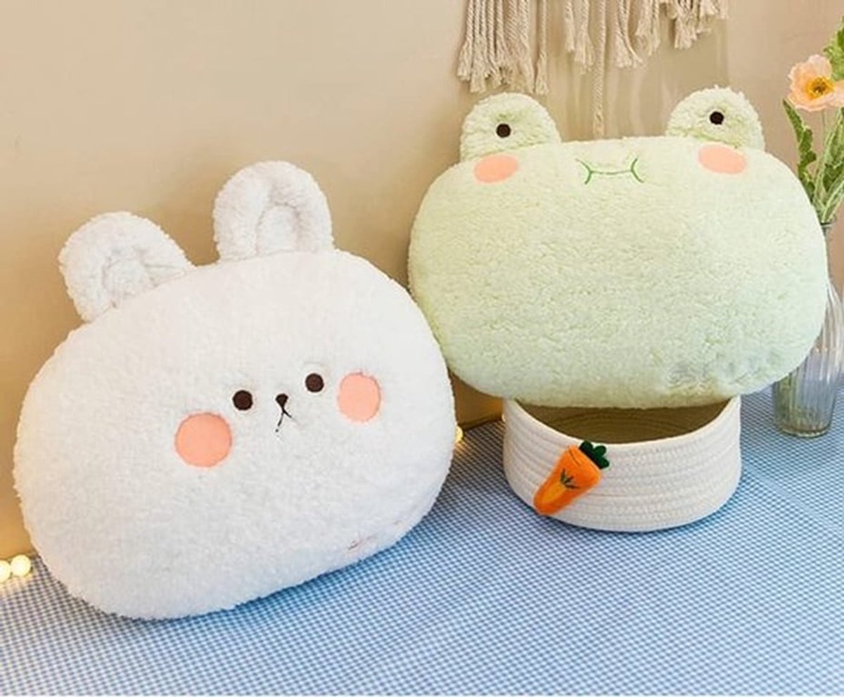Pluche kussen met zachte vulling - Schattige groene kikker - Handwarmer en woondecoratie - Voor volwassenen en kinderen.