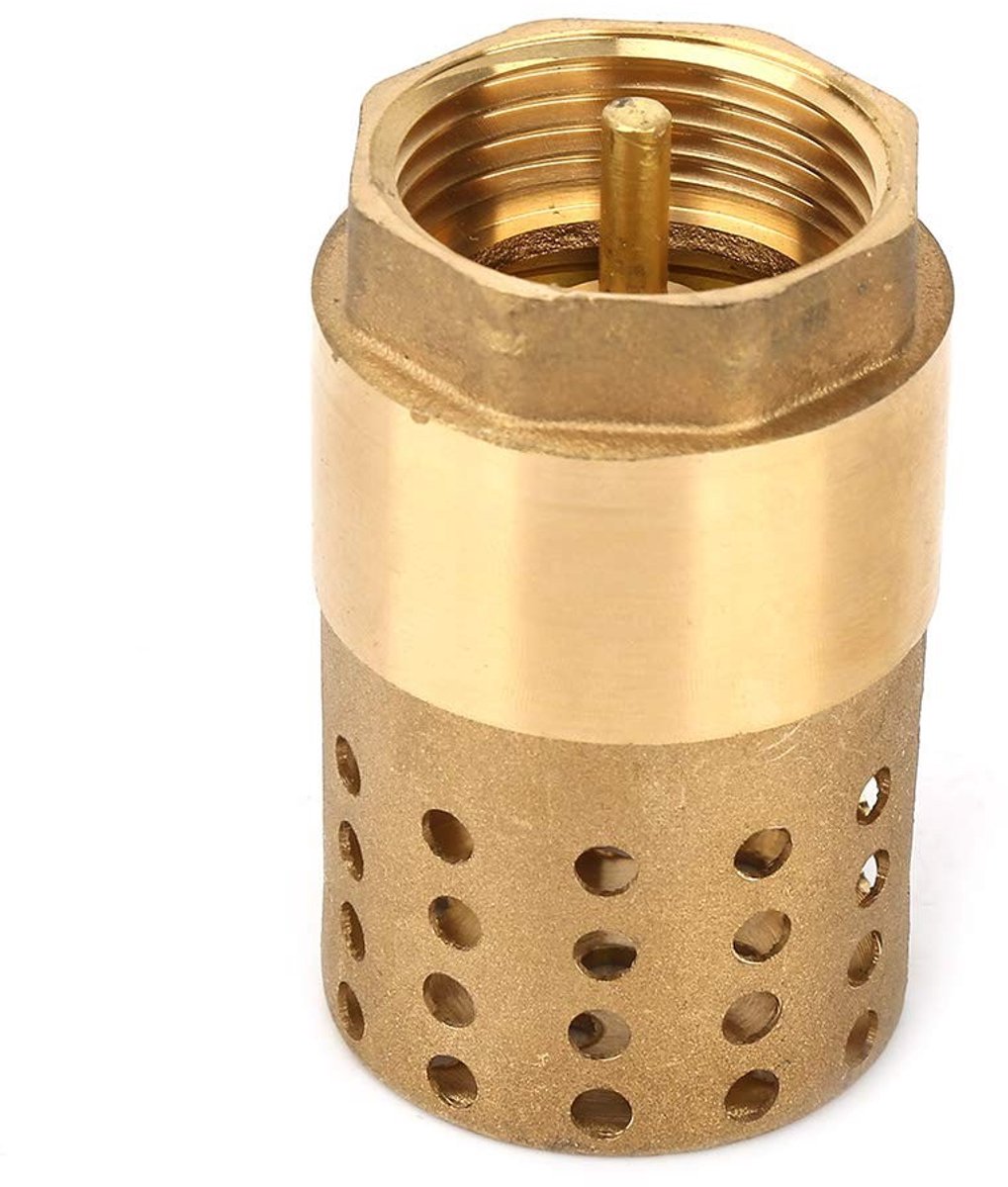 Dailygoods- Terugslagklep 25mm - Messing - Binnendraad - Corrosiebestendig - Eenvoudig te installeren - Hoge sterkte en duurzaamheid - Klep