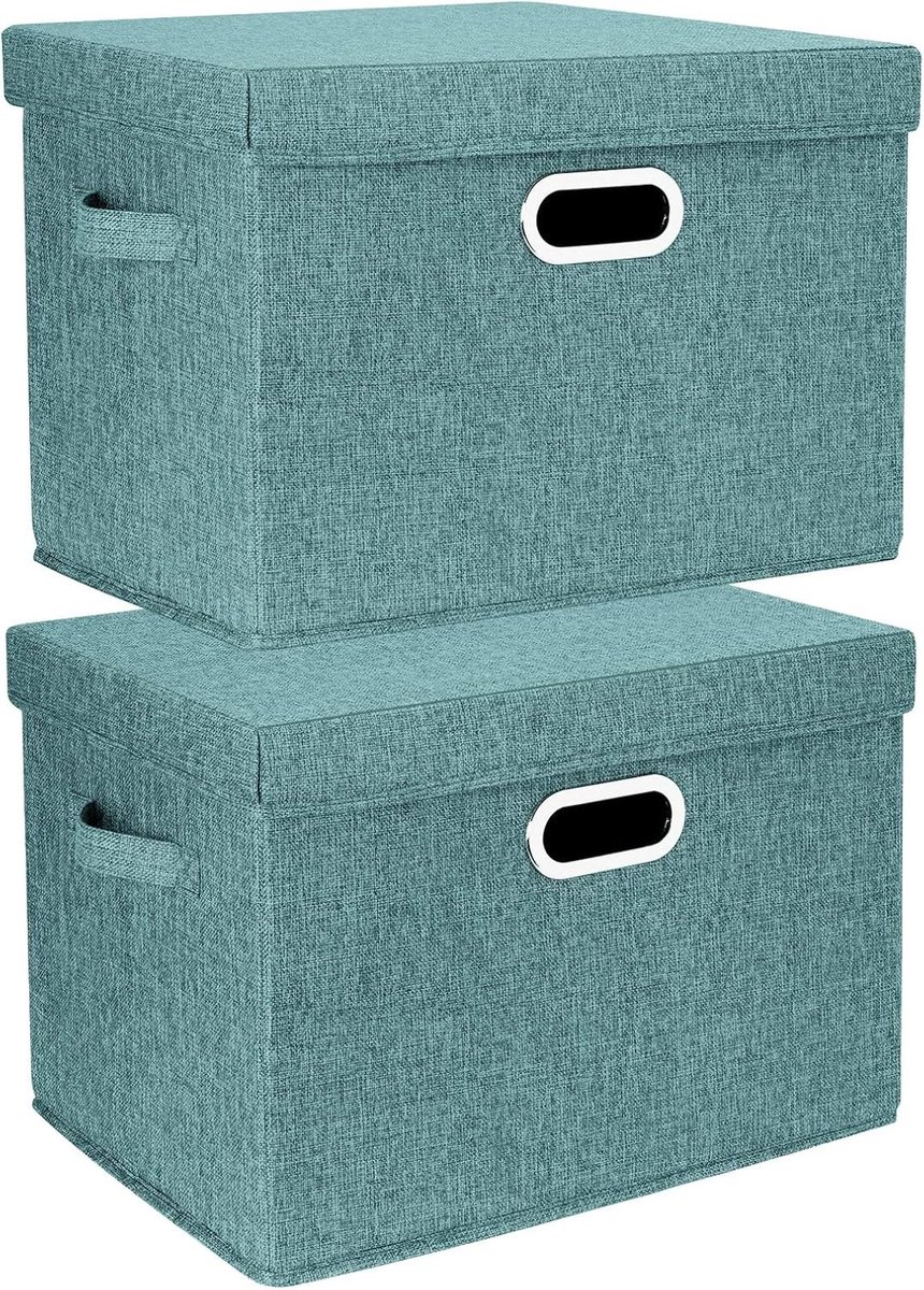 Grote Opbergdozen met Deksel, Vouwbaar en Wasbaar, Set van 2, 44x30x29cm, Perfect voor Organiseren en Opslaan in Huis