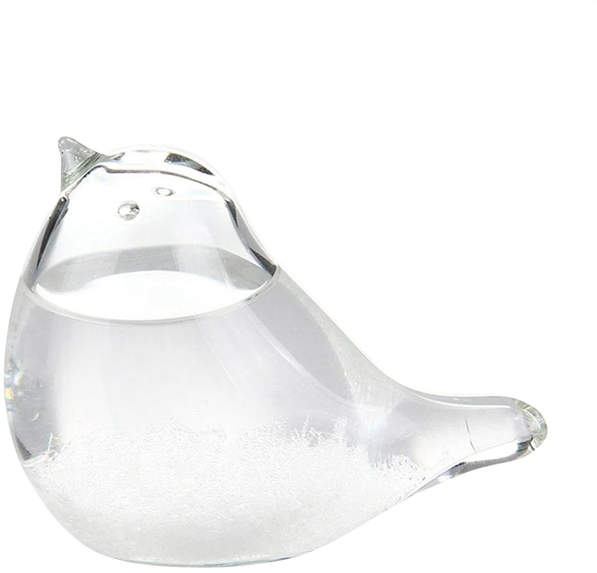 Stormglas Weerstation - Weersvoorspeller Kristal - Weer Observeren - Vogelvorm Decoratie - 8 x 5 x 4 cm - Transparant