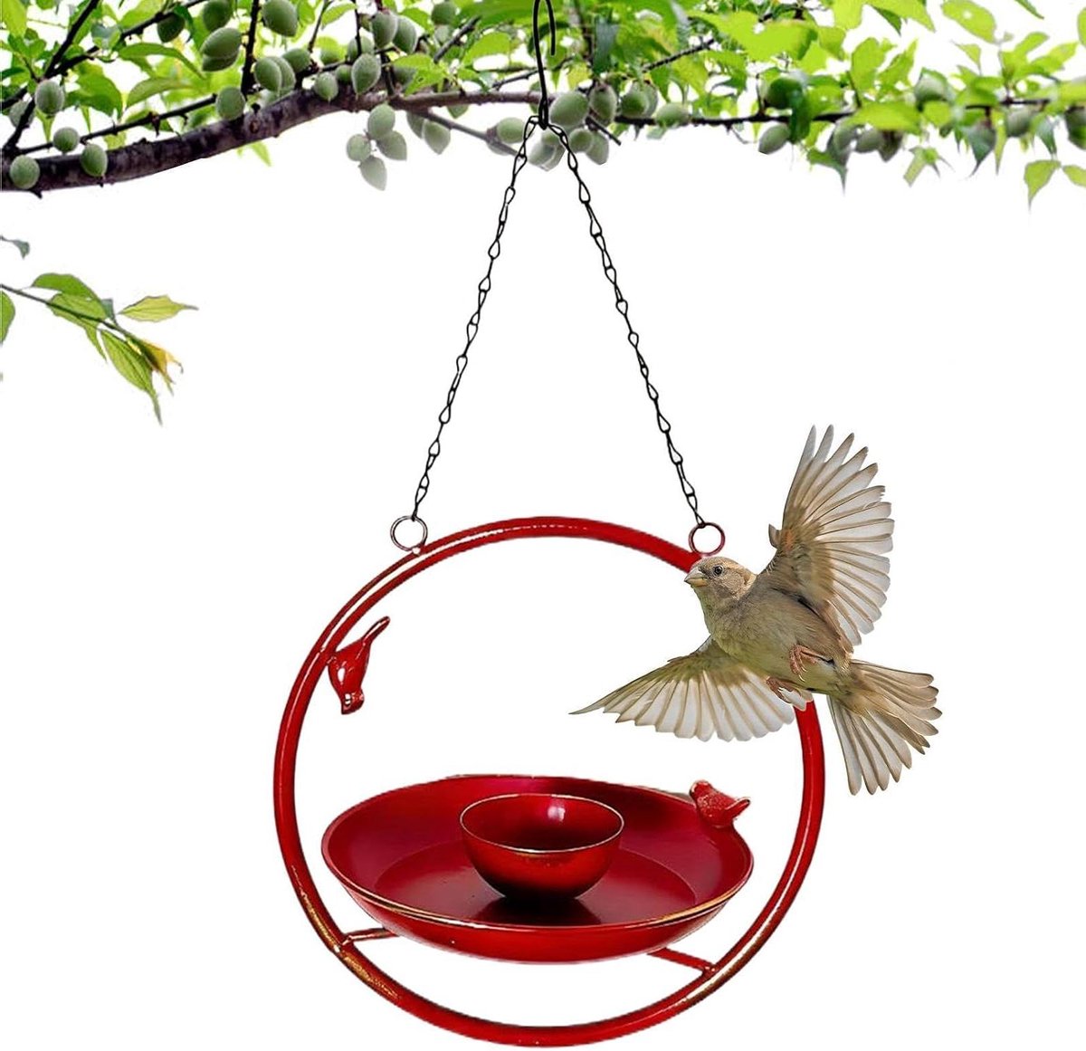 Vogelbad Decoratief - Waterschaal Buiten - Vogels Voeren - Weerbestendig Ontwerp - 26 x 26 x 6.5 cm - Rood