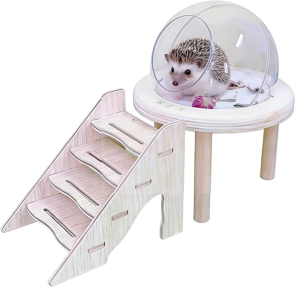 Hamster Zandbad - Doucheruimte Kleine Dieren - Verzorging Huisdier - Transparant Acryl - 24.99 x 21.59 x 9.6 cm - Transparant