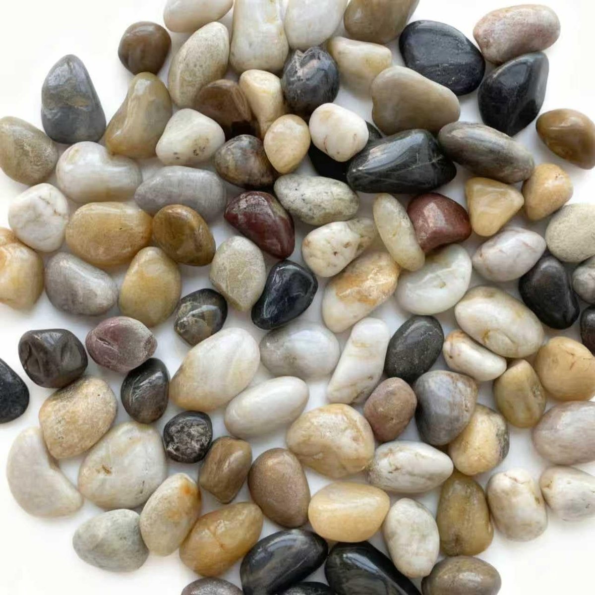 Gepolijste Kiezelstenen - Natuurkleur - 1-3 cm - Premium Decoratiestenen voor Aquarium, Tuin en Vazen