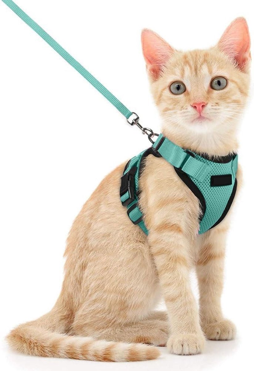 Kattenharnas - Blauwe Meer - Maat S - Ademend Mesh Materiaal - Verstelbaar Harnas met Riem voor Katten en Puppy’s