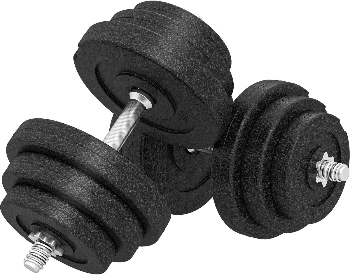 Halterset 40 kg - 2 metalen handgrepen - 12 gewichtsschijven - geschikt voor gebruik op de vloer - zwart