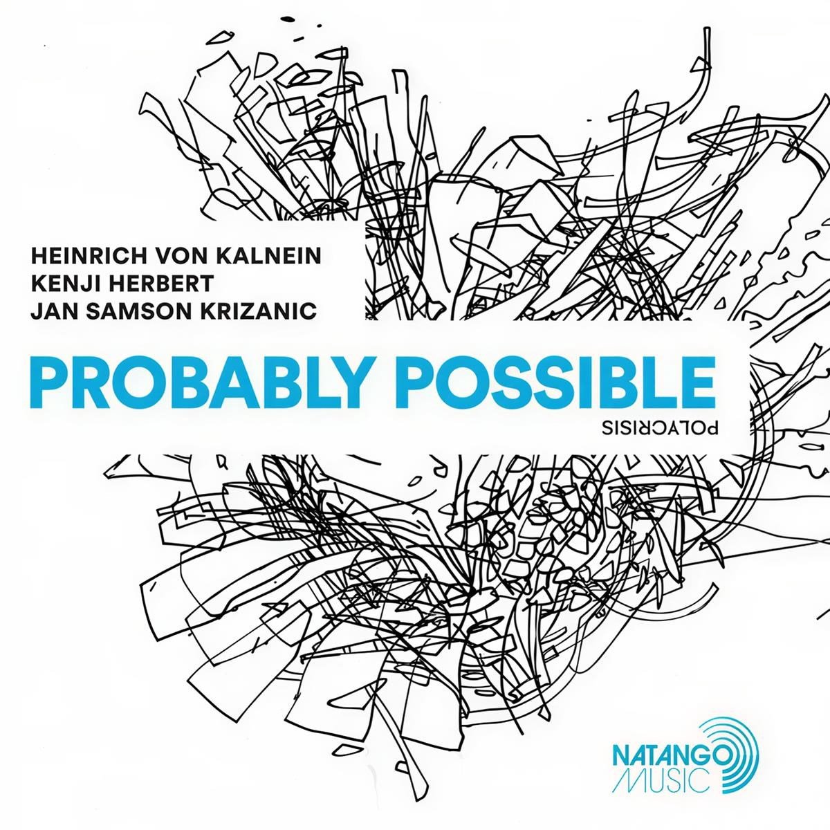 Heinrich Von Kalnein - Probably Possible (LP)