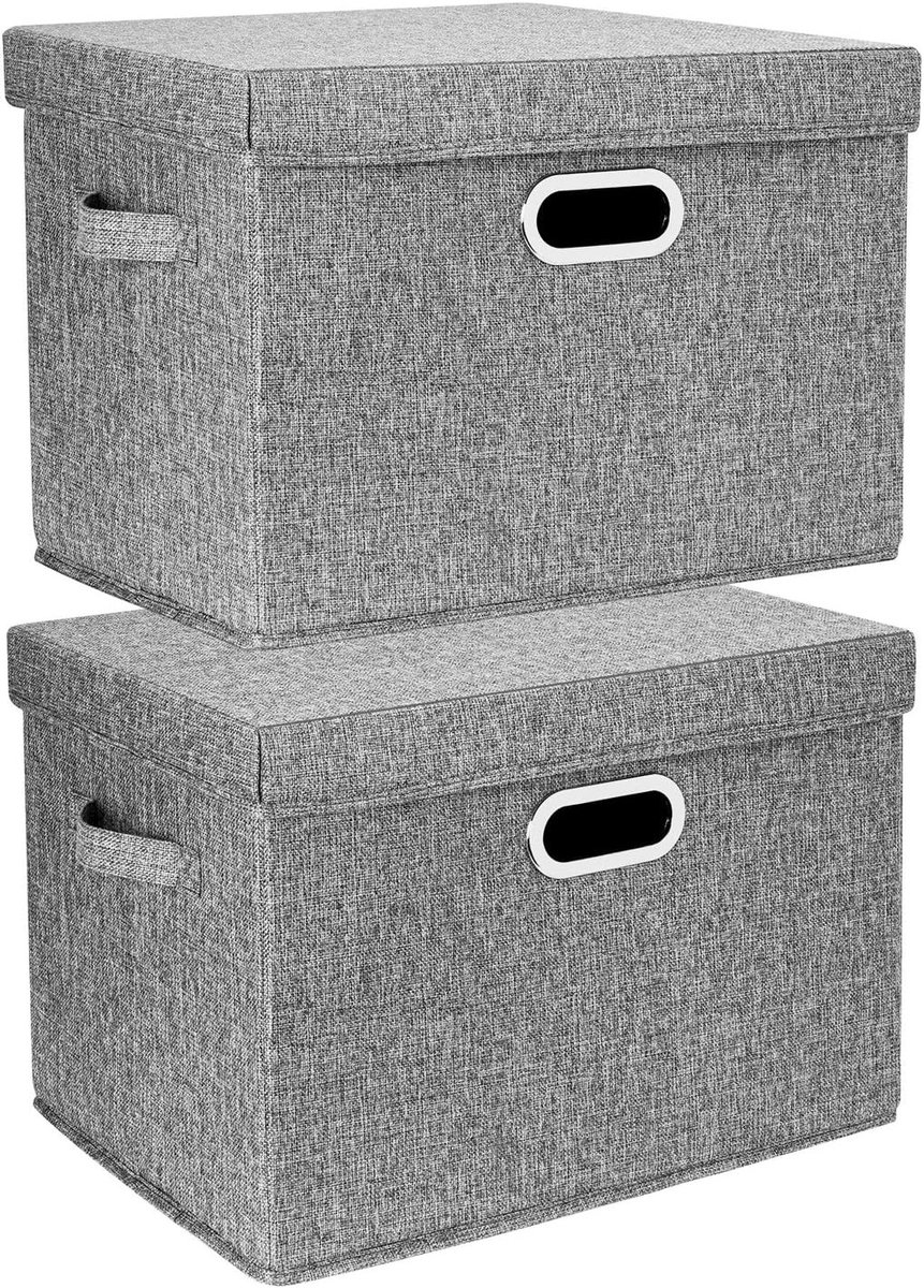 Grote Opbergdozen met Deksel, Vouwbaar en Wasbaar, Set van 2, 44x30x29cm, Grijs, Perfect voor Organisatie en Opslag