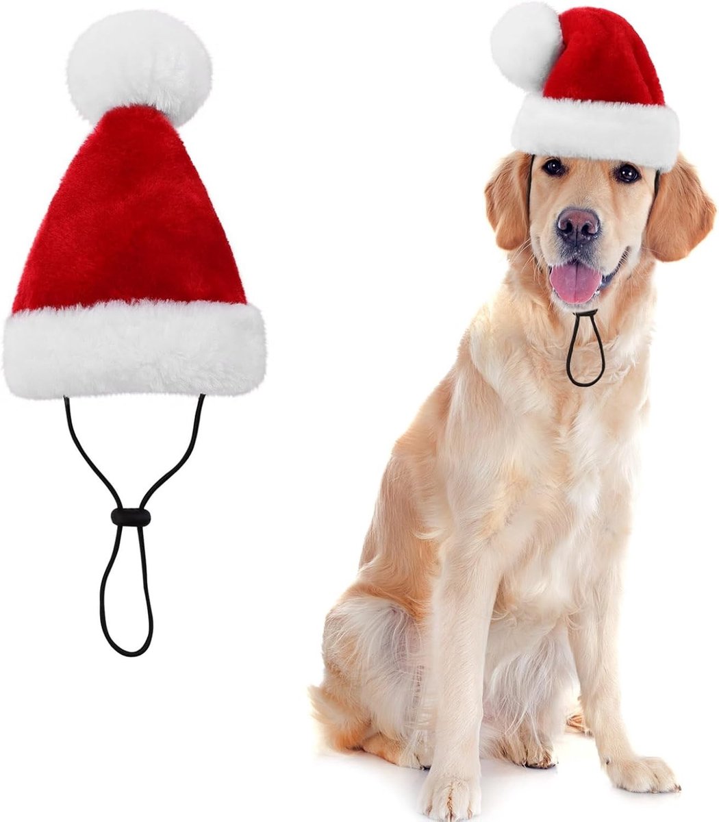Honden Kerstkostuum met Rode Kerstmuts voor Feestelijke Gelegenheden en Foto's