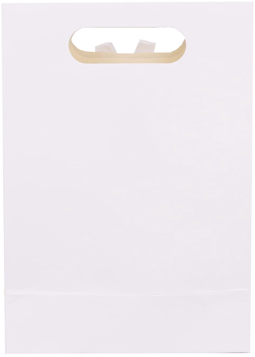Geschenkzakjes 20 × 14 × 7 cm - luxe witte papier - met doorzichtig venster - ideaal voor kleine geschenken - ShopVlot