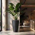 Un grand vase conique noir à la finition mate, rempli d'une plante oiseau de paradis aux grandes feuilles vertes.