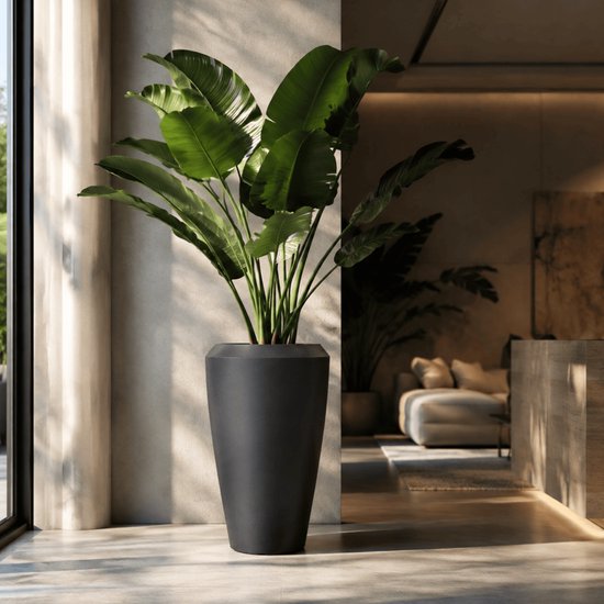 Un grand vase conique noir à la finition mate, rempli d'une plante oiseau de paradis aux grandes feuilles vertes.