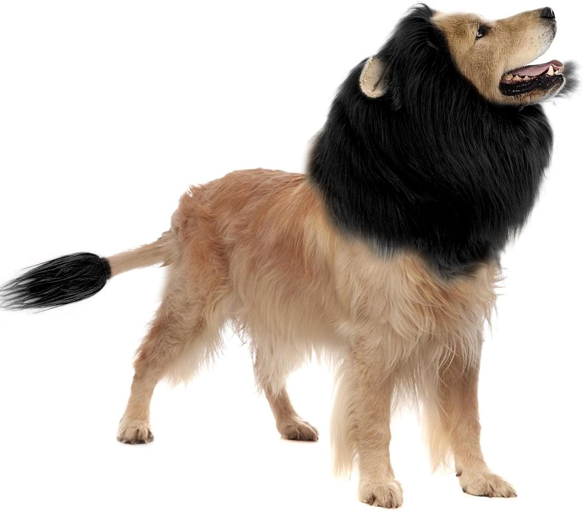 Halloween Kostuum voor Honden met Realistische Leeuwenkapsel voor Middelgrote en Grote Honden, Perfect voor Foto's en Vermaak