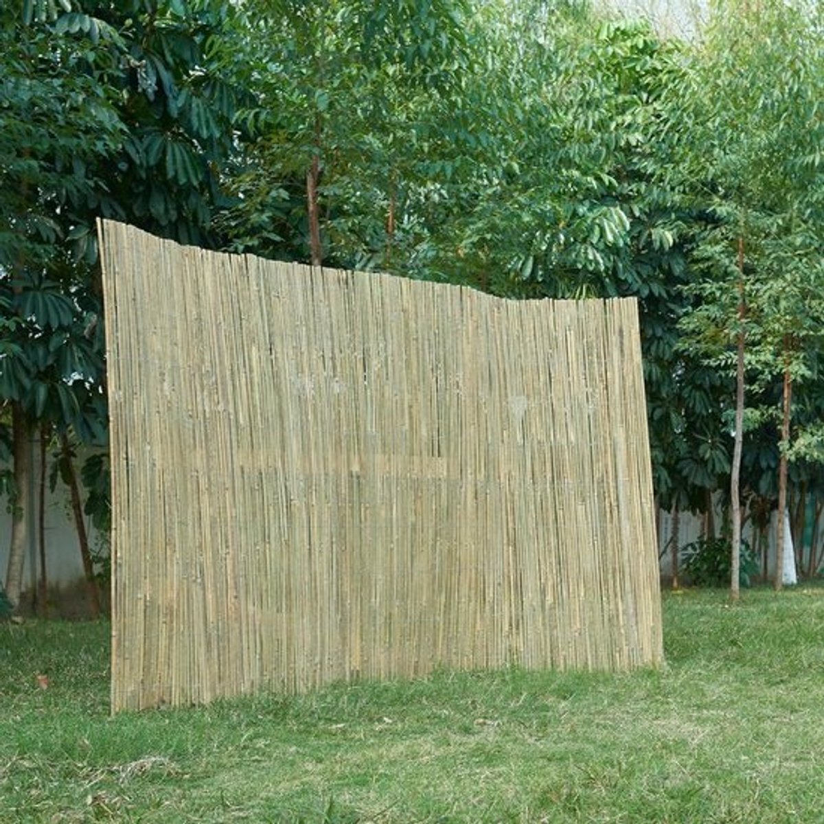 Bamboe scherm - Tuinscherm balkonscherm - Privacy creëren - Weerbestendig materiaal - 200x300 cm - Naturel