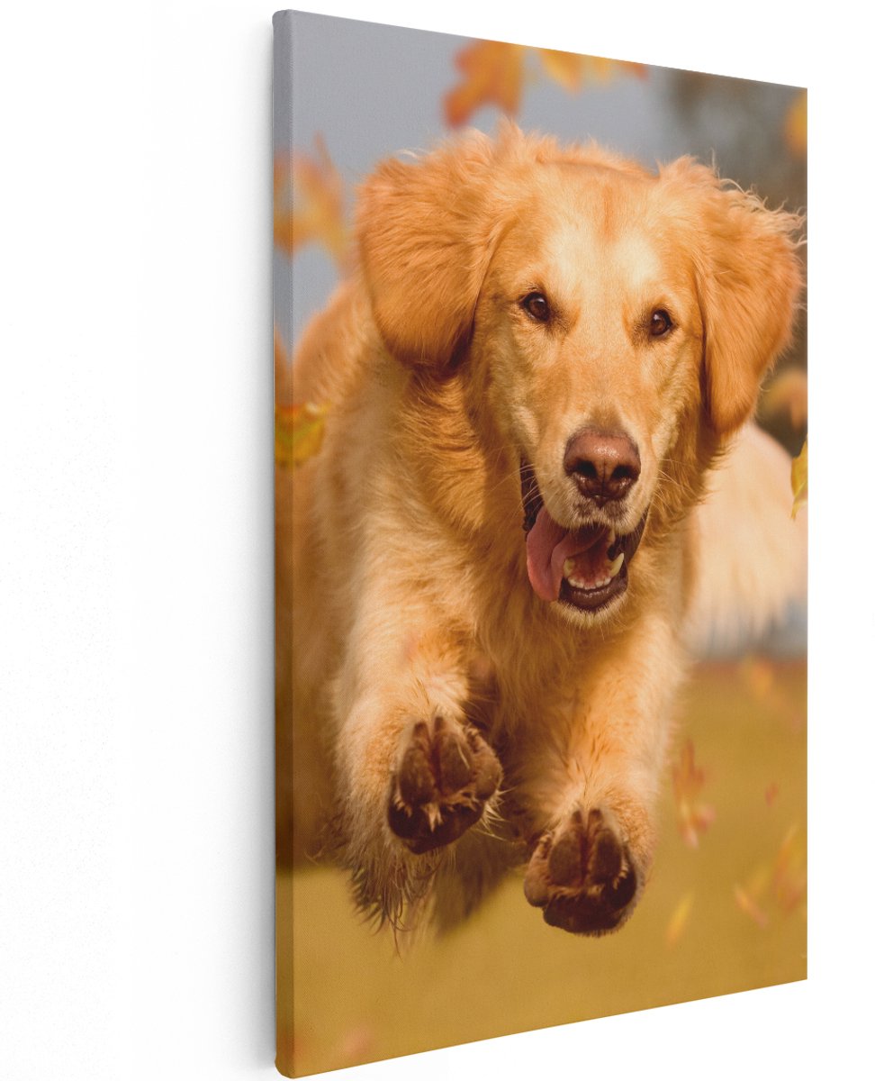 Artaza Canvas Schilderij Golden Retriever Hond In De Herfst Bladeren - 120x180 cm - Groot - Wanddecoratie Woonkamer - Schilderijen - Muurdecoratie