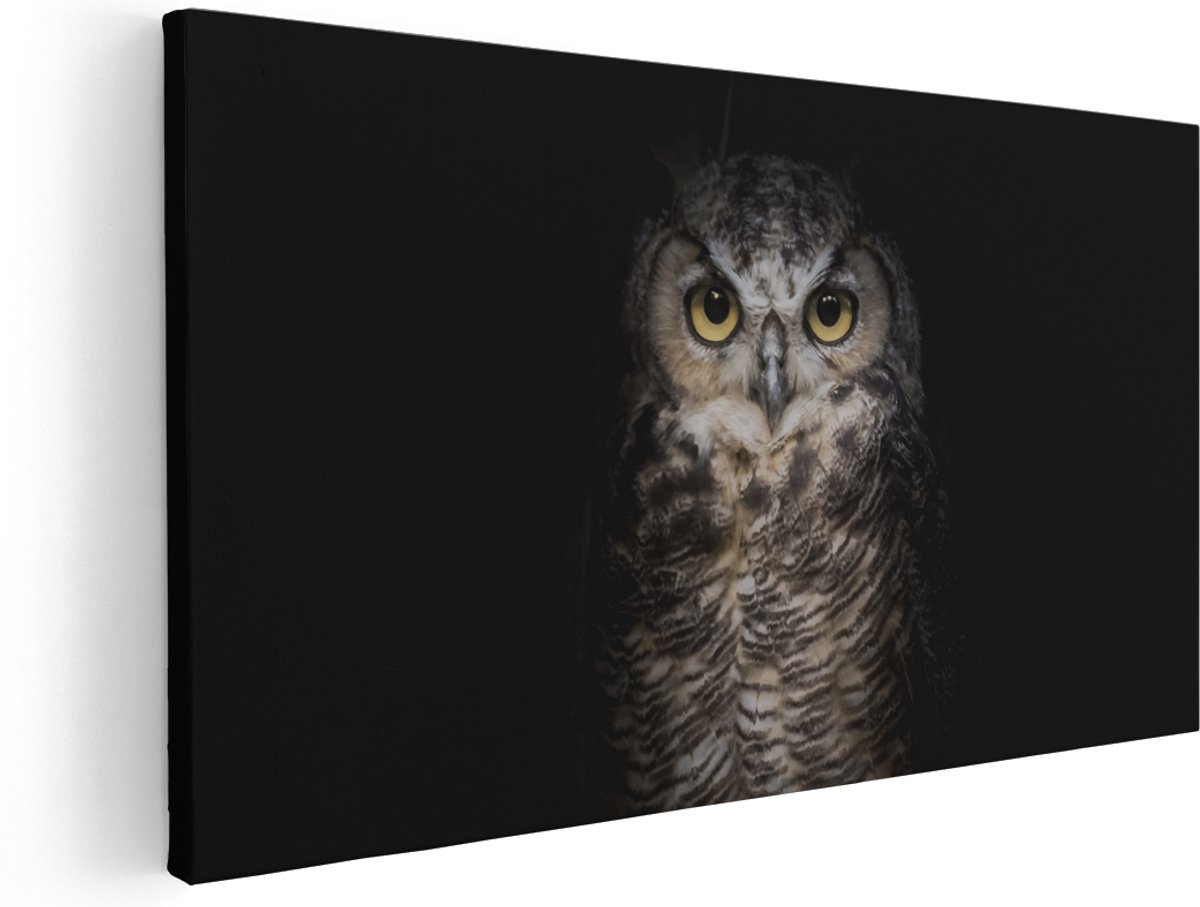 Artaza Canvas Schilderij Uil Op Een Tak In De Nacht - 160x80 cm - Groot - Wanddecoratie Woonkamer - Schilderijen - Muurdecoratie
