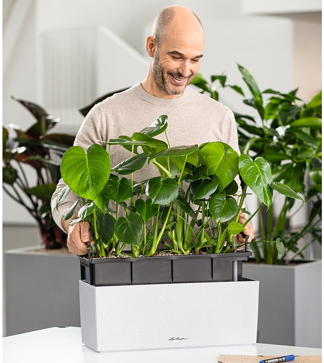 Lechuza Balconera Stone 50 - Planter - removable inner pot