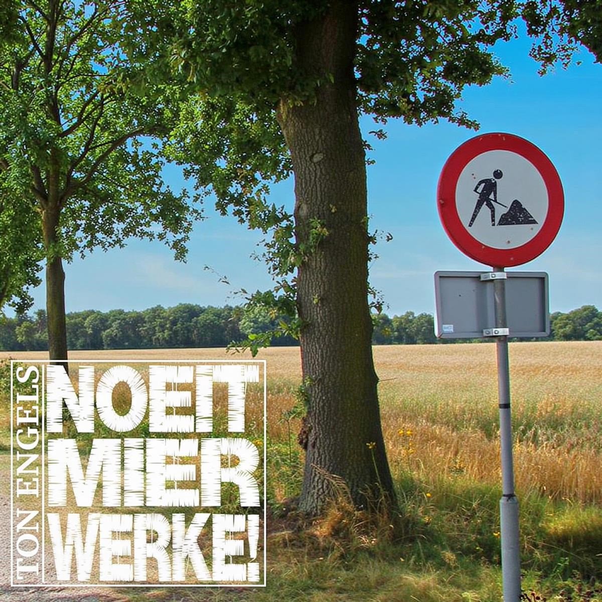 Ton Engels - Noeit Mier Werke! (CD)