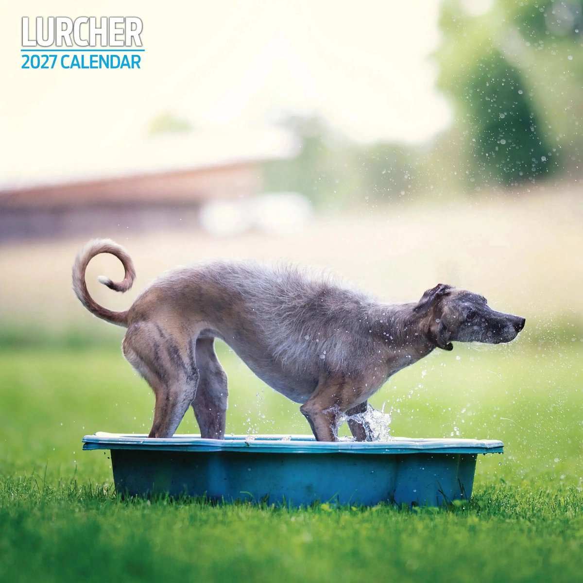 Lurcher Kalender 2027