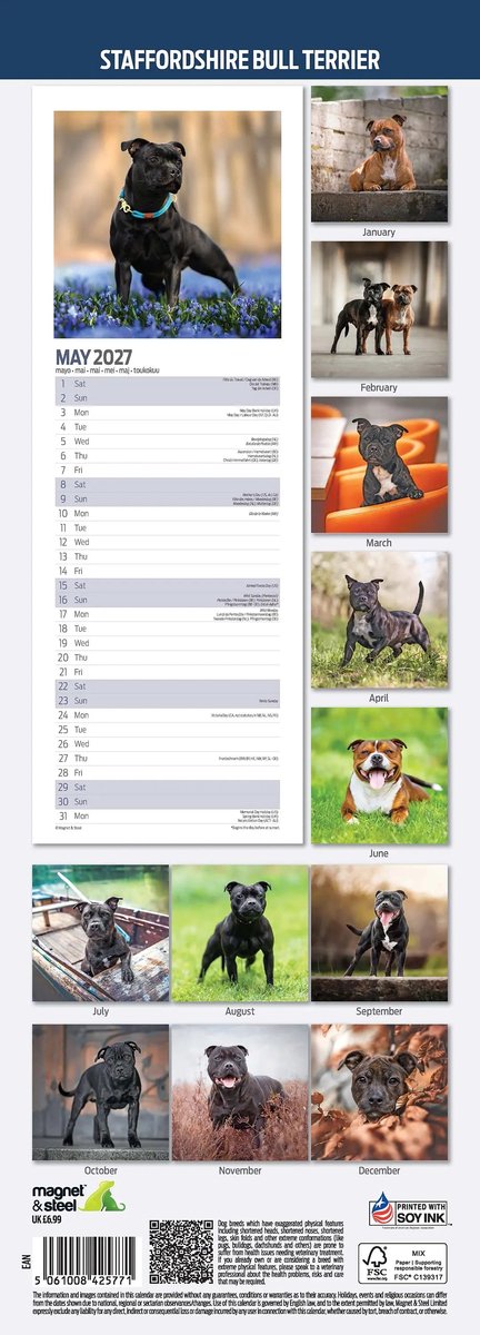 Staffordshire Bull Terrier Kalender 2027 Slimline