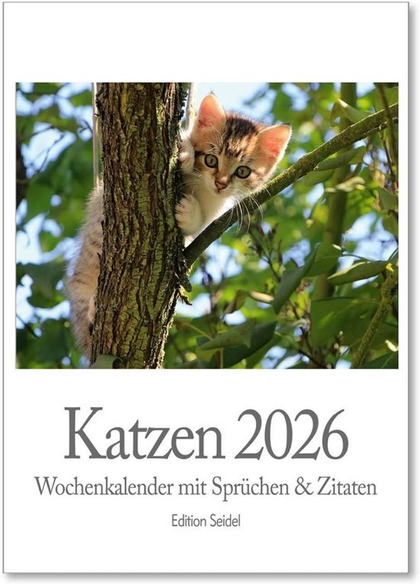 Weekkalender Katten - Dierenkalender Spreuken - Planning Maken - Elke Week Een Pagina - Formaat A4 - Verschillende