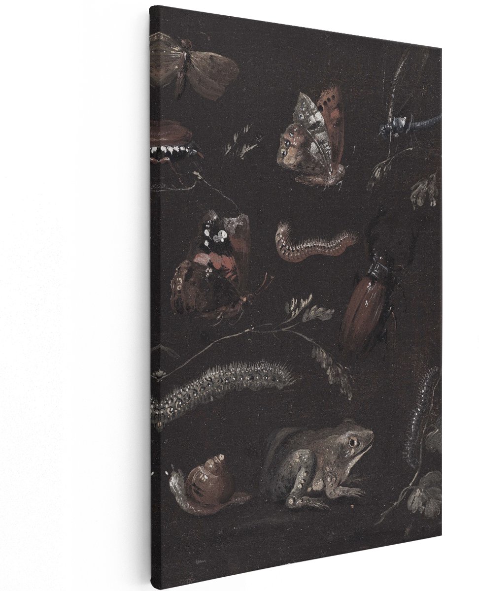 Artaza Canvas Schilderij Stilleven Insecten - 120x180 cm - Groot - Wanddecoratie Oude Meesters - Muurdecoratie Vlinders - Decoratie Kikker Kever