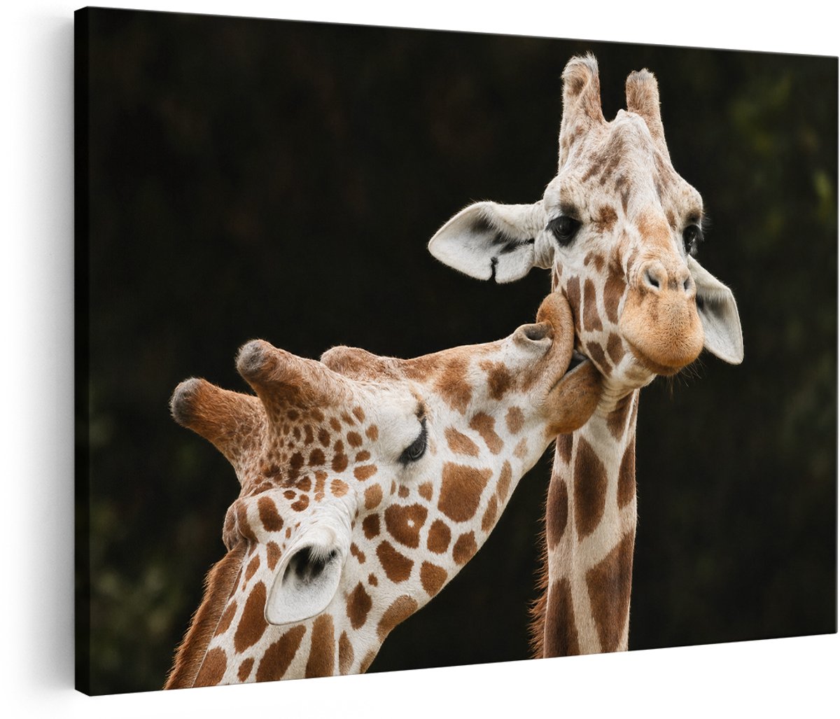 Artaza Canvas Schilderij Twee Giraffen - Natuur - Zwart - 180x120 cm - Groot - Wanddecoratie Woonkamer - Schilderijen - Muurdecoratie