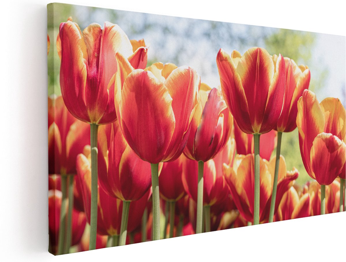 Artaza Canvas Schilderij Oranje Rode Tulpen - 180x90 cm - Groot - Wanddecoratie Woonkamer - Schilderijen - Muurdecoratie