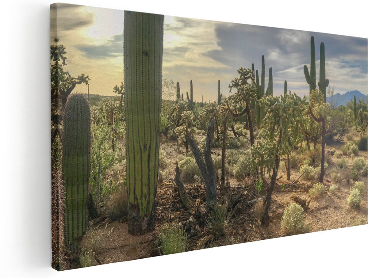 Artaza Canvas Schilderij Cactus Planten in het Wild - 180x90 cm - Groot - Wanddecoratie Woonkamer - Schilderijen - Muurdecoratie