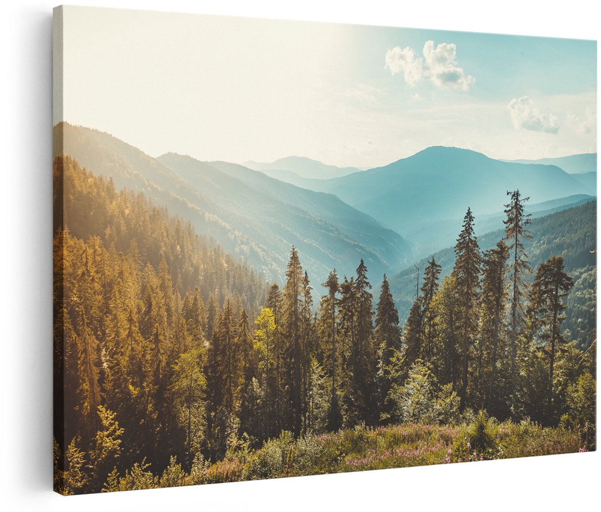 Artaza Canvas Schilderij Bos Met Bomen In De Hoge Bergen - 180x120 cm - Groot - Foto Op Canvas - Wanddecoratie Woonkamer
