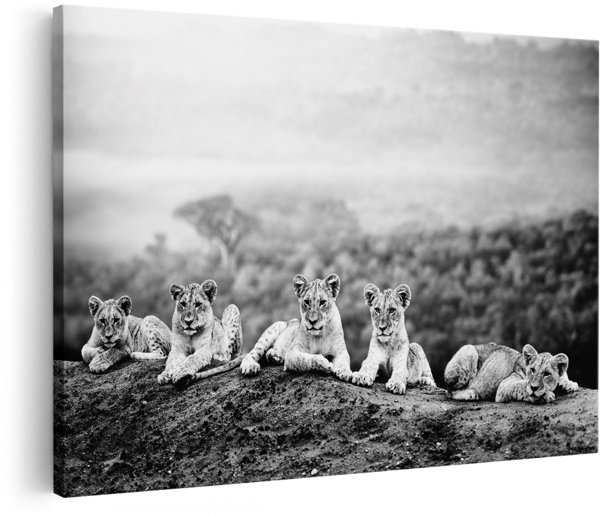 Artaza Canvas Schilderij Groep Welpen in het Wild - Baby Leeuwen - Zwart Wit - 180x120 cm - Groot - Foto Op Canvas - Wanddecoratie