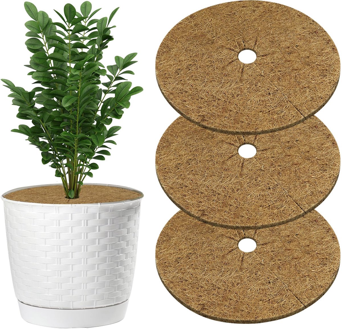 Kokosvezel Mulchschijf - Rond - Voor plantenbescherming - Ø 60 cm, 3 stuks