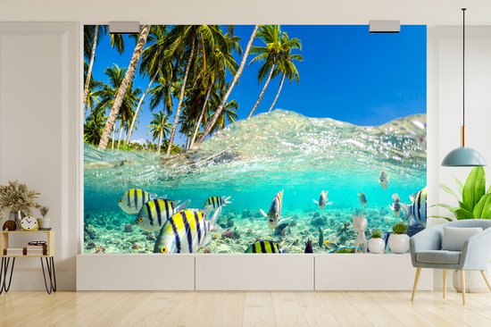 Behang - Fotobehang Strand - Vissen - Kleuren - Breedte 420 cm x hoogte 280 cm